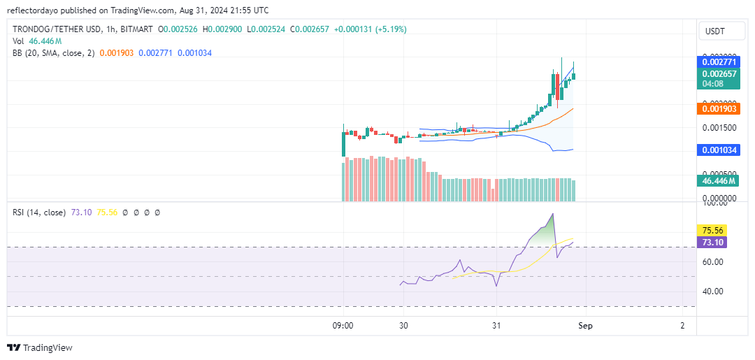 Top Trending Coins for Today, August 31: DOGS, TRONDOG, BTC, TON, and SOL