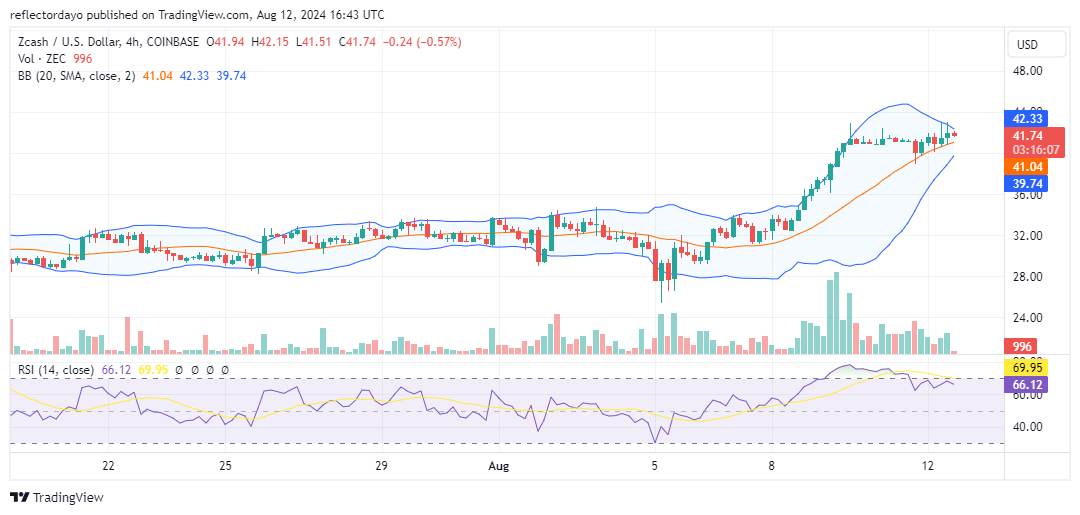 Zcash (ZEC/USD) at a Crossroads: Consolidation or Decline?