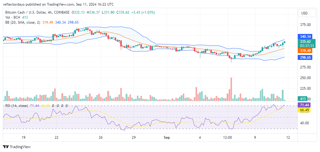 Bitcoin Cash (BCH/USD) Shows Signs of a Potential Uptrend