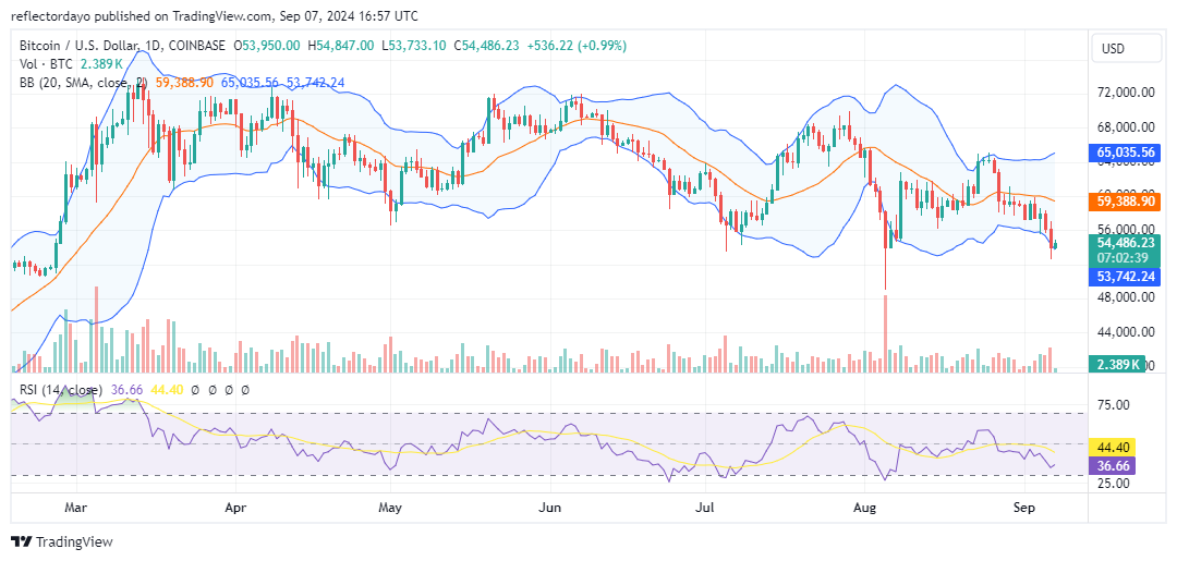 Top Trending Coins for Today, August 31: BTC, DOGS, NEIRO, TON, and SOL