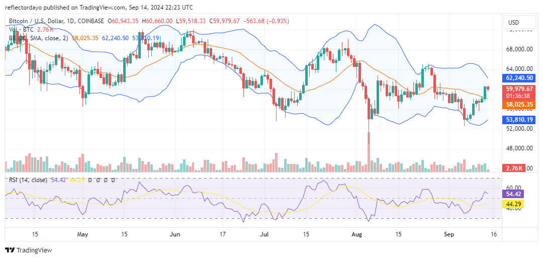 Top Trending Coins for Today, September 14: CAT, CATE, DOGS, DOGE, and BTC