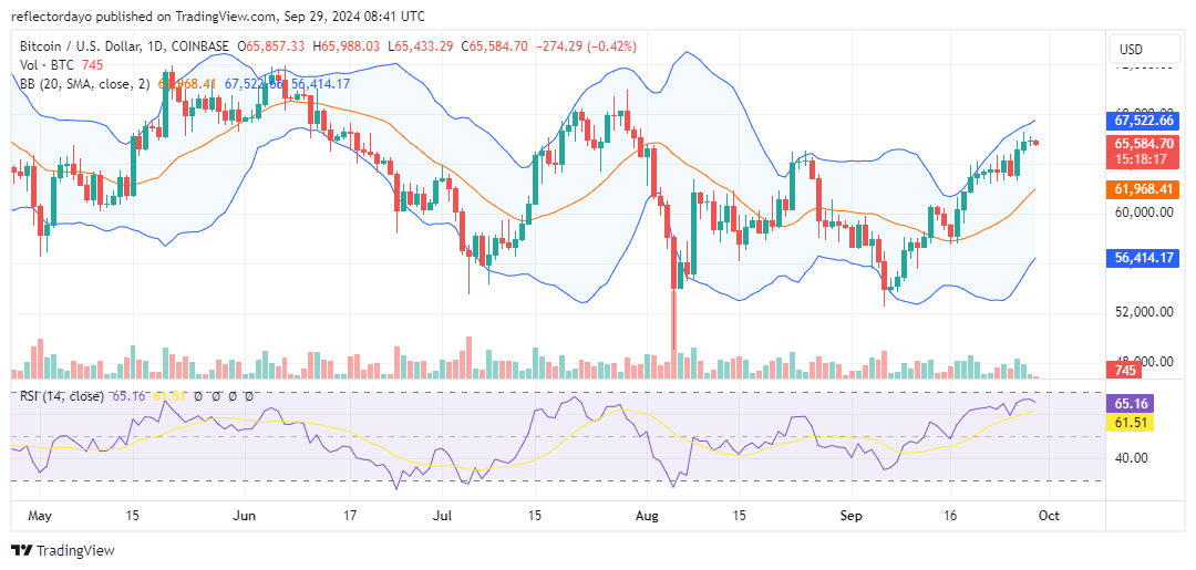 Top Trending Coins for Today, September 29: HMSTR, BTC, SUI, PEPE and DOGS