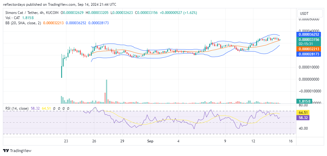 Top Trending Coins for Today, September 14: CAT, CATE, DOGS, DOGE, and BTC