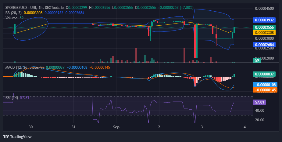 $SPONGE (SPONGE/USD) Once Again On the Trail of $0.00004
