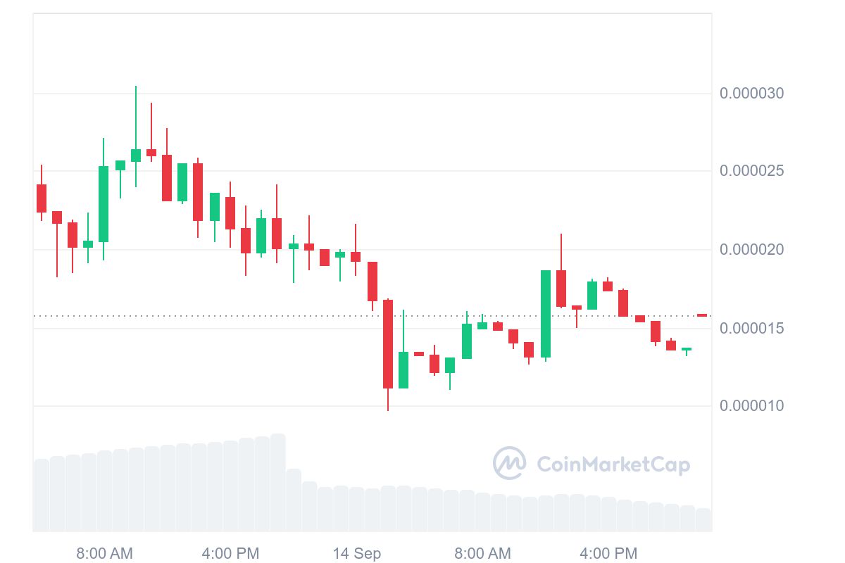 Top Trending Coins for Today, September 14: CAT, CATE, DOGS, DOGE, and BTC