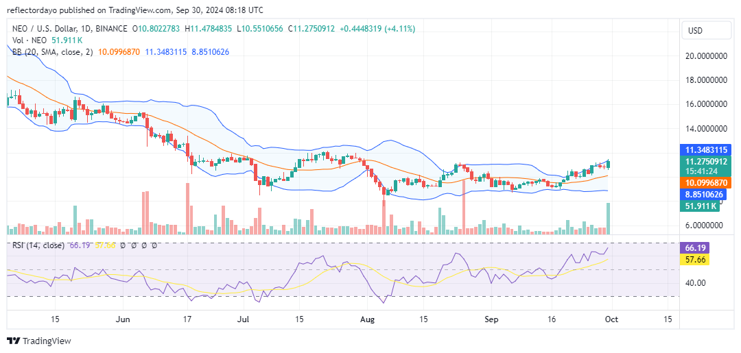 The Neo Market (NEO/USD) Shows Strength: Market Rebounds