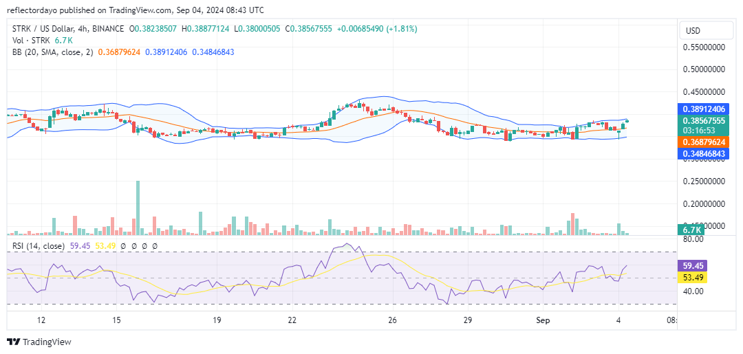 Starknet (STRK/USD) Poised for a Potential Bounce