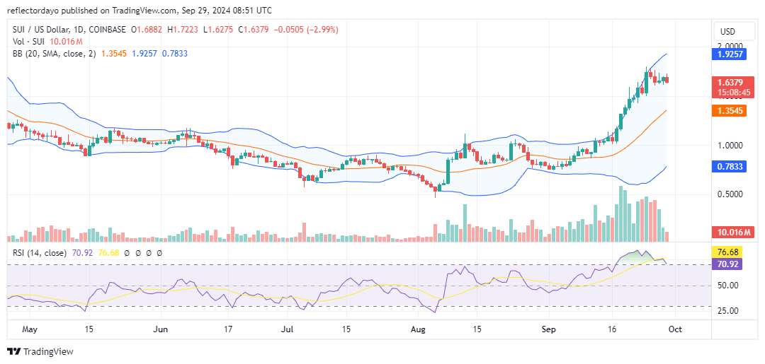 Top Trending Coins for Today, September 29: HMSTR, BTC, SUI, PEPE and DOGS