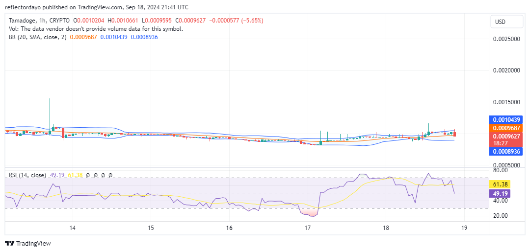 The Tamadoge market has been characterized by a period of consolidation, with the price remaining relatively stable near the $0.001 level