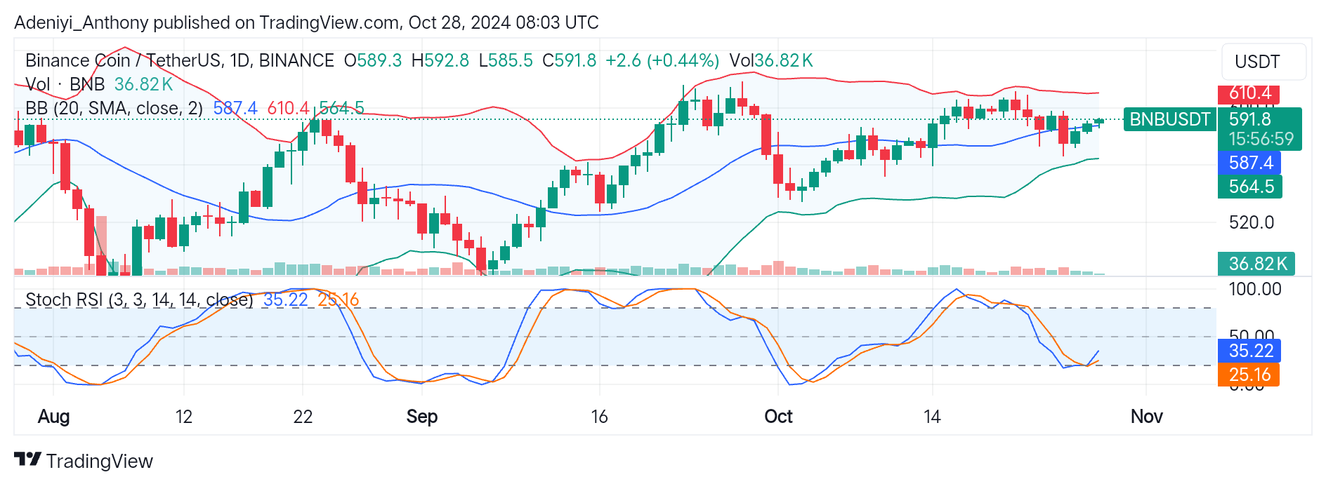 BNB (BNB/USDT) Consolidates Near a Critical Level