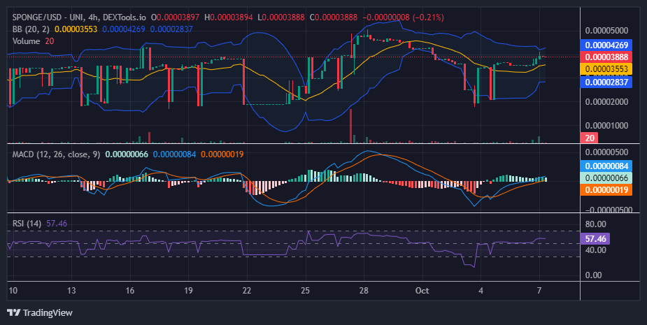 $SPONGE (SPONGE/USD) Bulls Gain Traction, Surging Past $0.000035