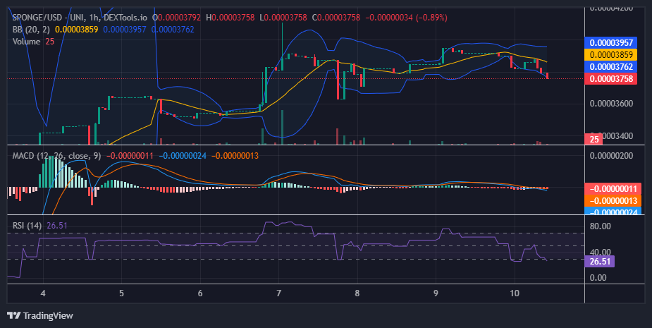 $SPONGE (SPONGE/USD) Bulls Poised to Regain Momentum at $0.000036