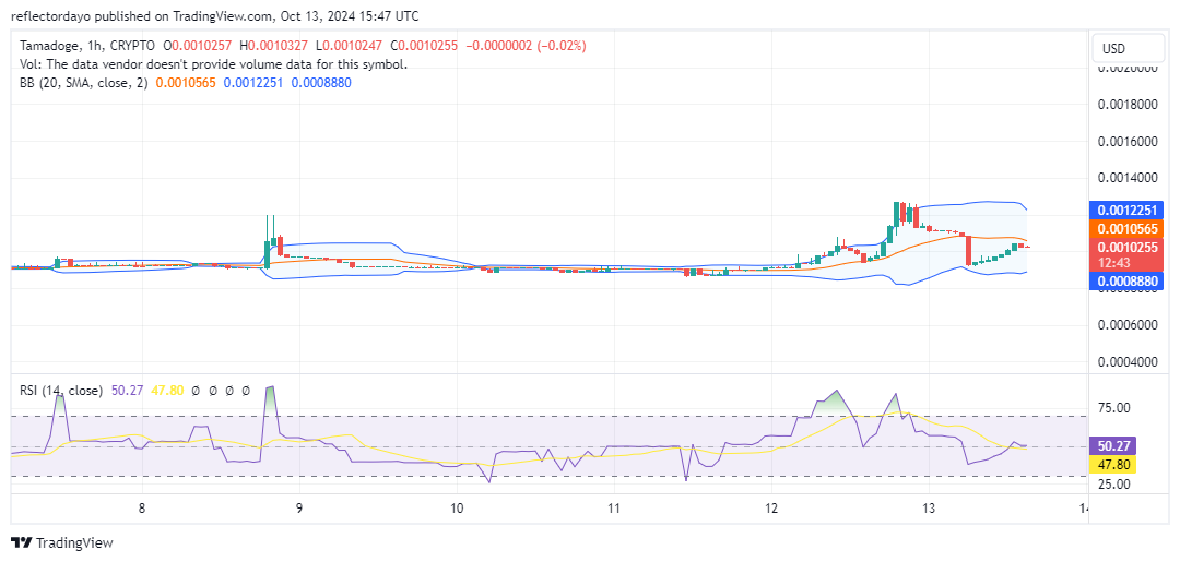 Tamadoge (TAMA/USD) Market Shifts, Finds Support Near $0.001