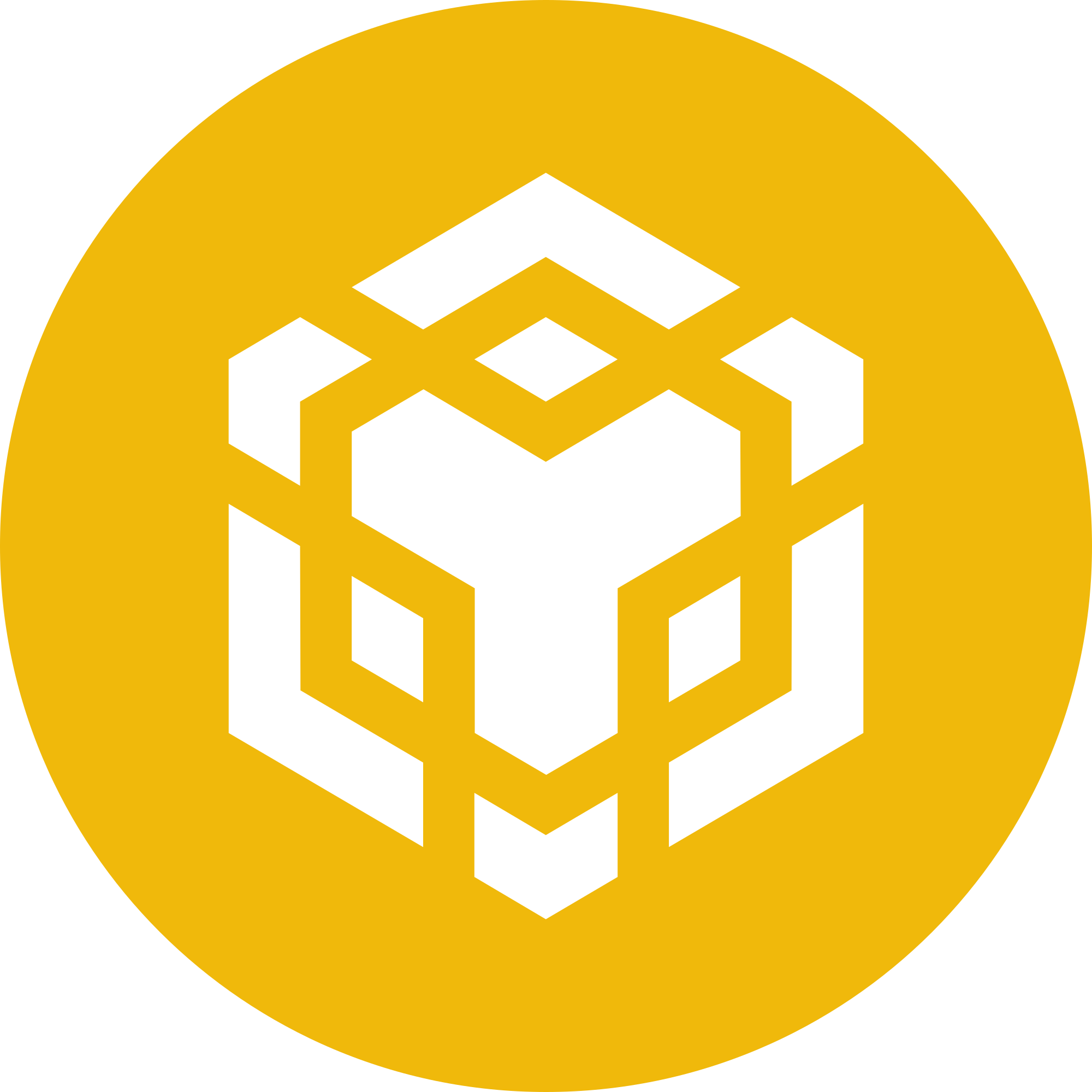 BNB (BNB/USDT) Struggles to Maintain Bullish Momentum