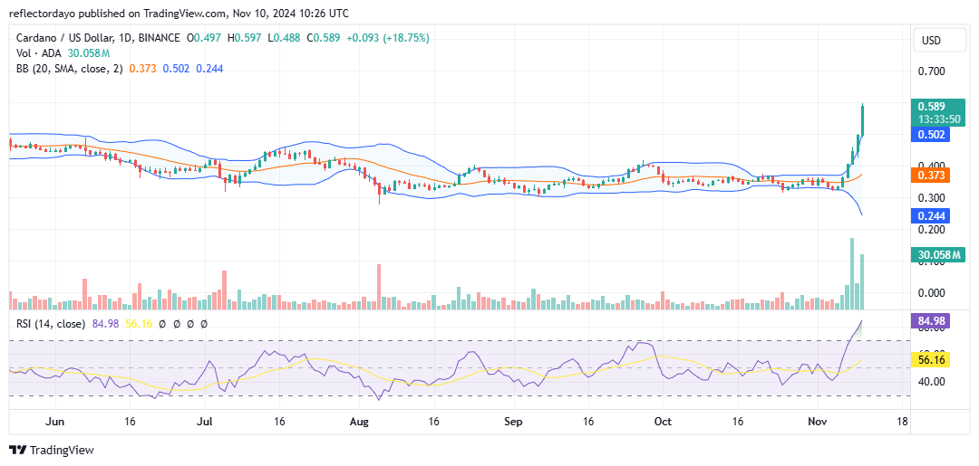 Top Trending Coins for Today, November 10: BTC, SUI, X, ADA and HMSTR