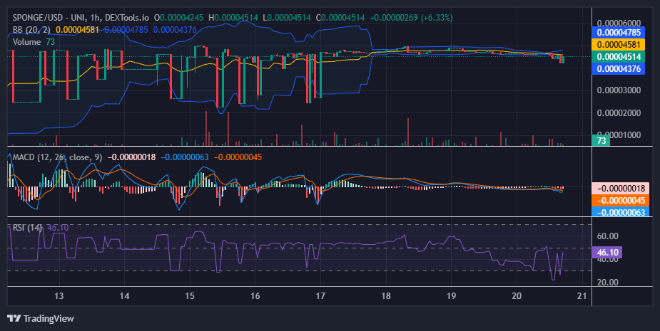 $SPONGE (SPONGE/USD): Bulls Defend $0.000045 Amid Price Correction