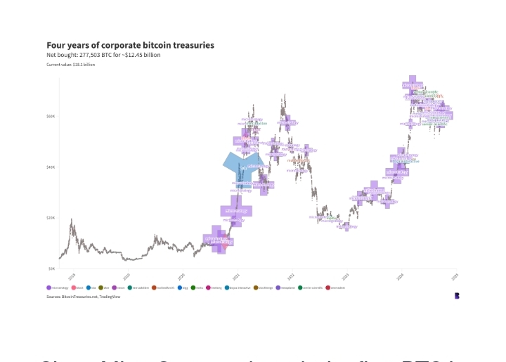 Public Companies Diversify with Bitcoin Investments