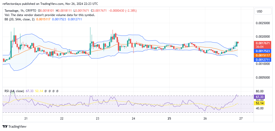 Tamadoge (TAMA/USD) Push for Higher Price Levels
