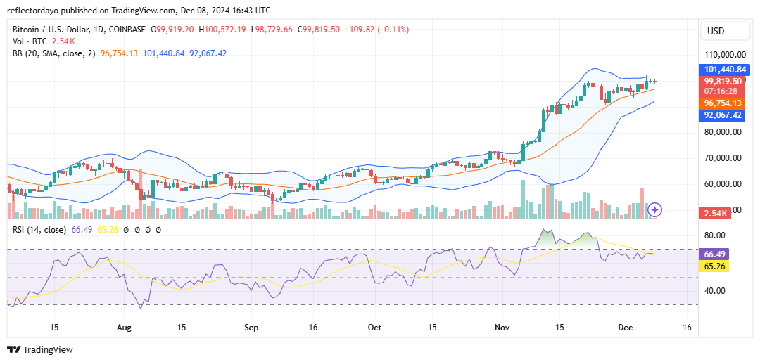 Top Trending Coins for Today, December 8: BTC, CIRCLE, MAD, STRUMP and SUPRA