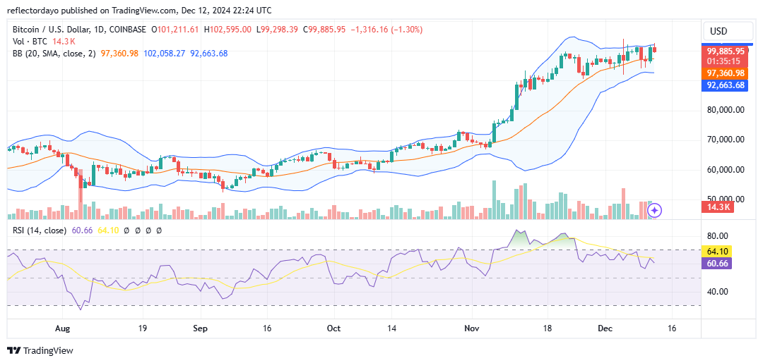Bitcoin (BTC/USD) Strives to Establish a Stronghold at $100,000