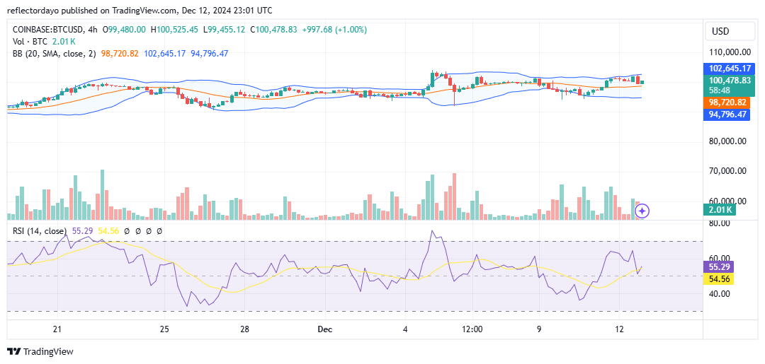 Bitcoin (BTC/USD) Strives to Establish a Stronghold at $100,000