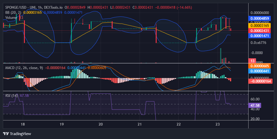 $SPONGE (SPONGE/USD): Navigating a Choppy Market