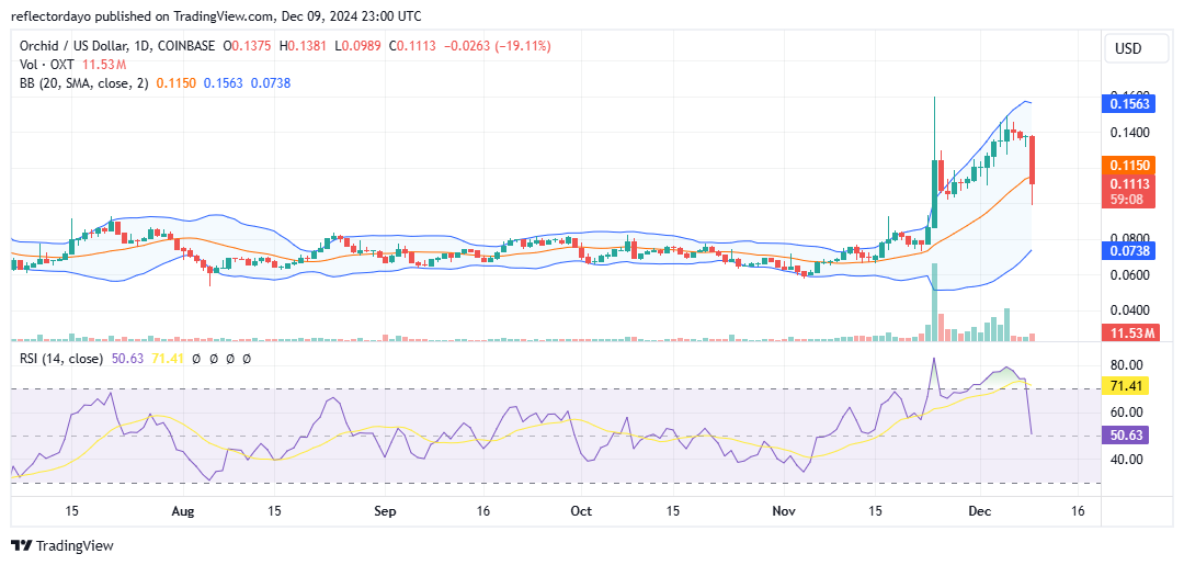 Orchid (OXT/USD) Bulls Found a Higher Support Level