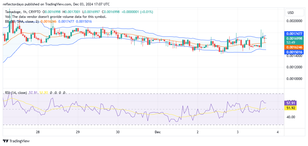 Tamadoge (TAMA/USD): Bulls Find Support Above $0.0016