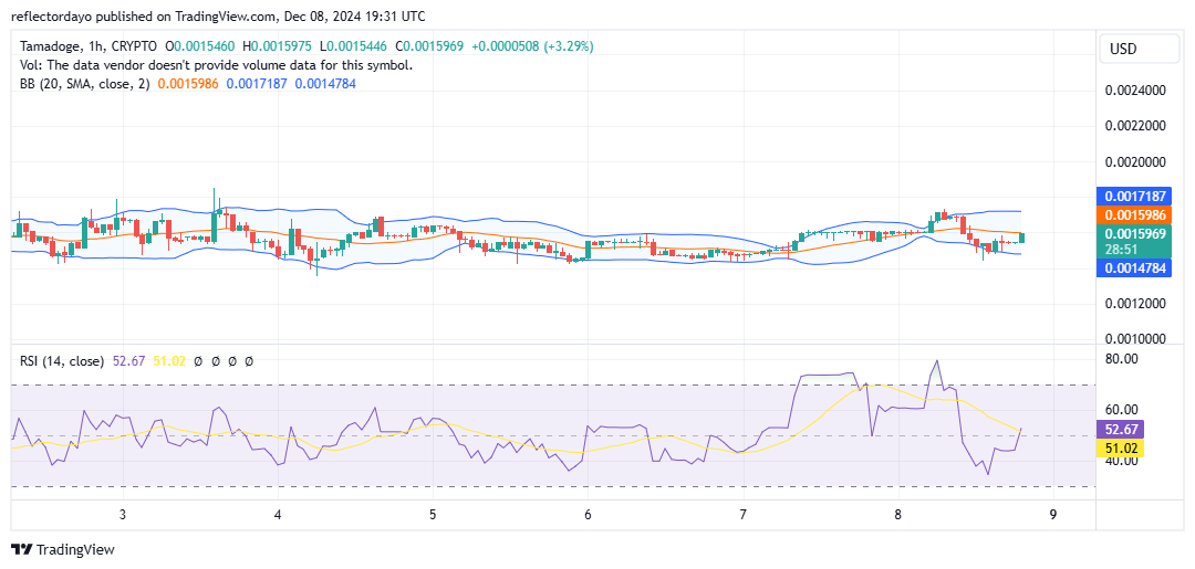 Tamadoge (TAMA/USD) Bulls Defend Key Support at $0.0016