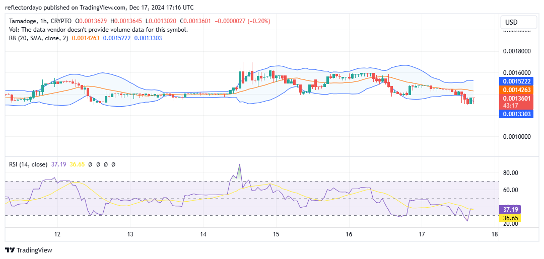 Tamadoge (TAMA/USD): The Bullish Resurgence Still Facing a Key Test