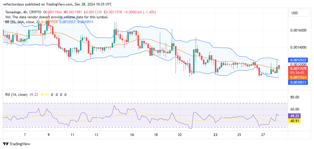 Tamadoge (TAMA/USD): Bulls Push to Overcome Persistent Bearish Control