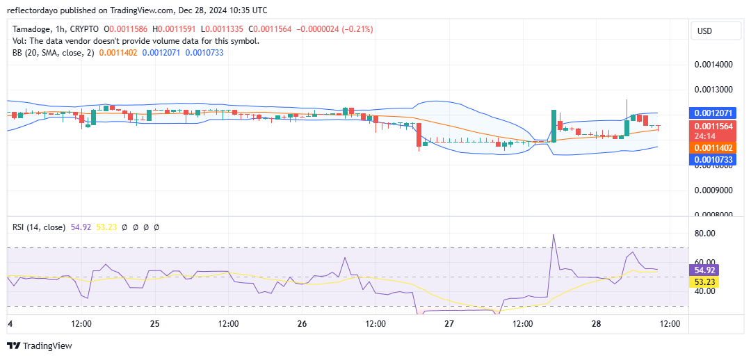 Tamadoge (TAMA/USD): Bulls Push to Overcome Persistent Bearish Control