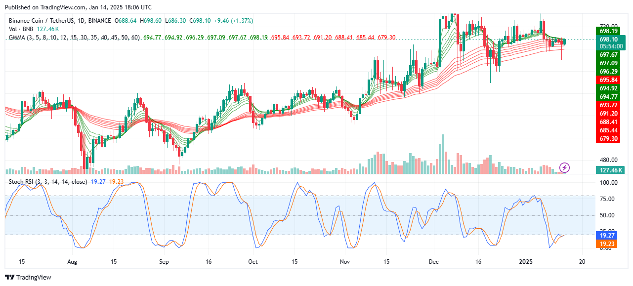 BNB (BNB/USDT) Bullish Traders May Flood the Market Soon