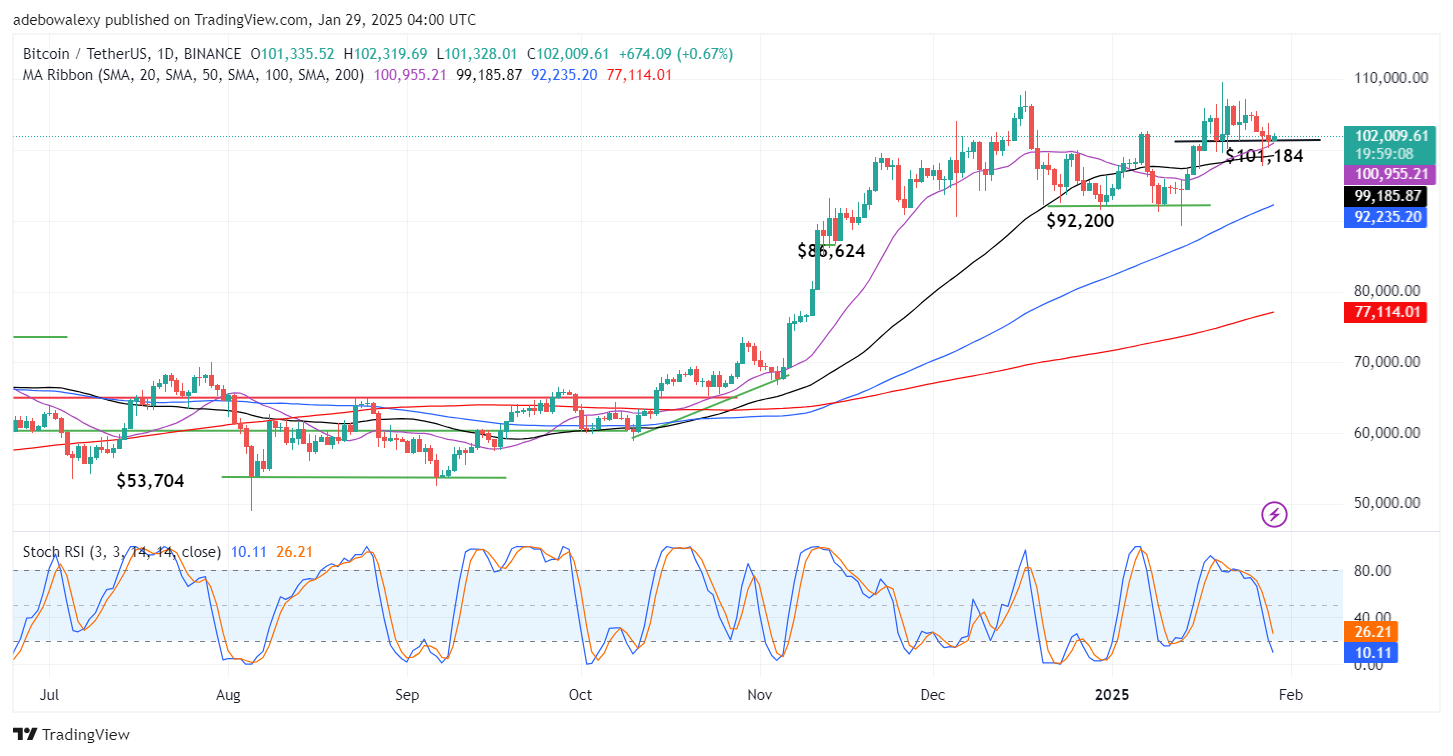 Bitcoin (BTC) Price Prediction: BTC/USDT May Have Found New Support