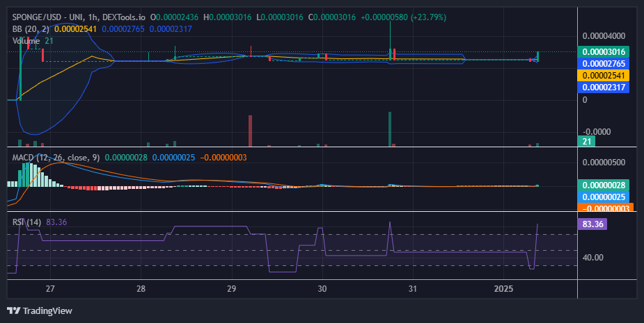 $SPONGE (SPONGE/USD) Market Analysis: Bulls and Bears in Fierce Competition
