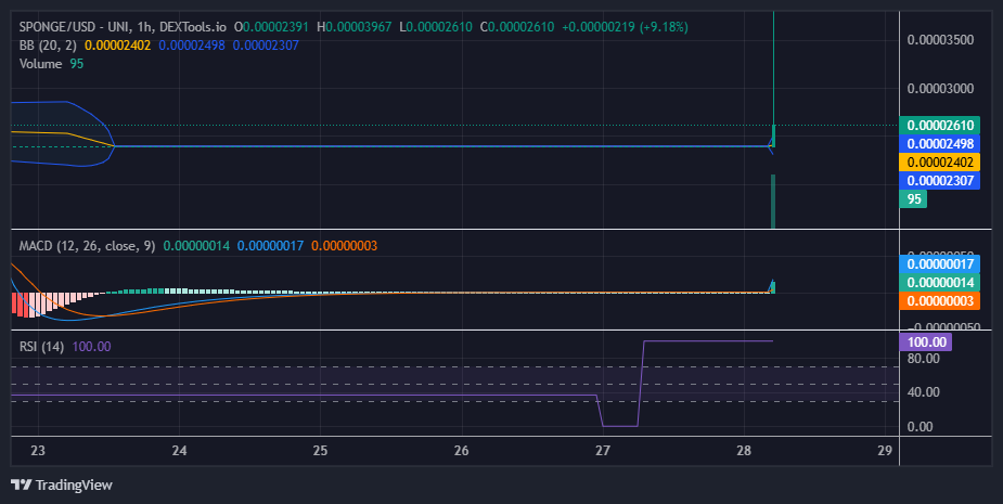 $SPONGE (SPONGE/USD) Traders Continue to Buy at $0.000024