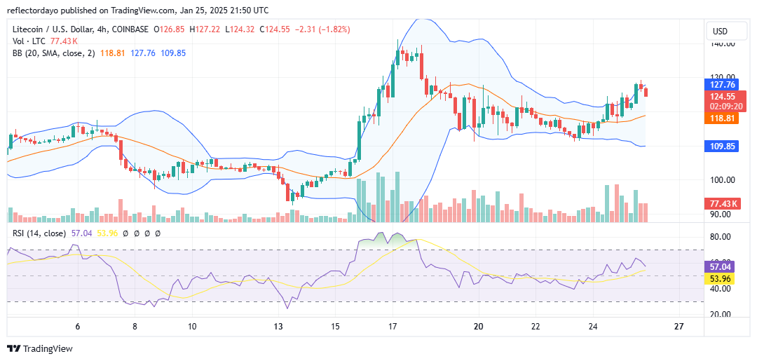 Top Trending Coins for Today, January 26: TRUMP, LTC, STP, JUP and VINE