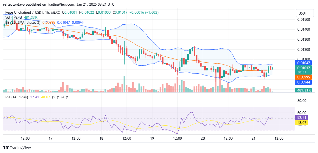 Pepe Unchained (PEPUUSD) Plunges: A Buying Opportunity Below $0.009?