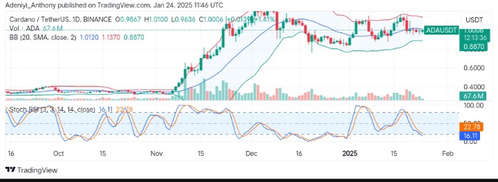 Cardano (ADA/USDT) Traders Battle for Market Dominance