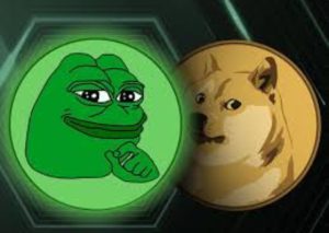 The Impending Decline of Memecoins