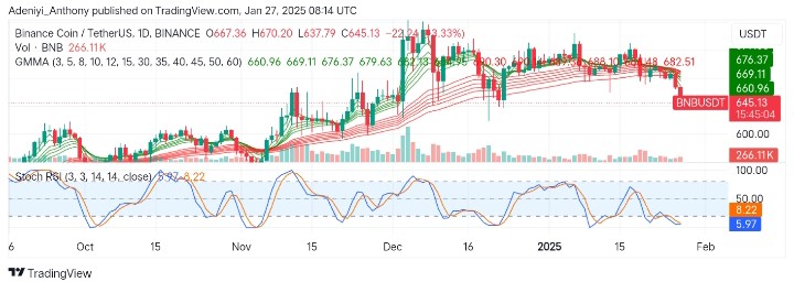BNB (BNB/USDT) Struggles to Maintain Bullish Momentum