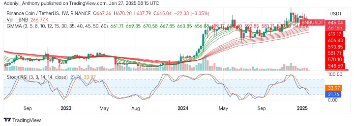 BNB (BNB/USDT) Struggles to Maintain Bullish Momentum