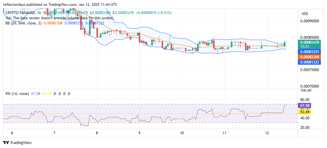 Tamadoge (TAMA/USD) Poised for a Potential Upswing