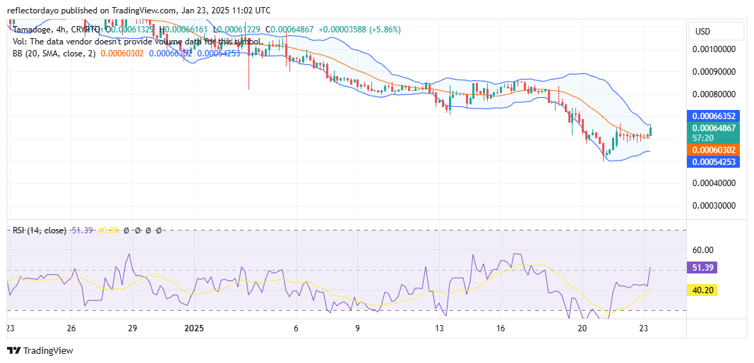 Tamadoge (TAMA/USD) Bullish Recovery in Progress