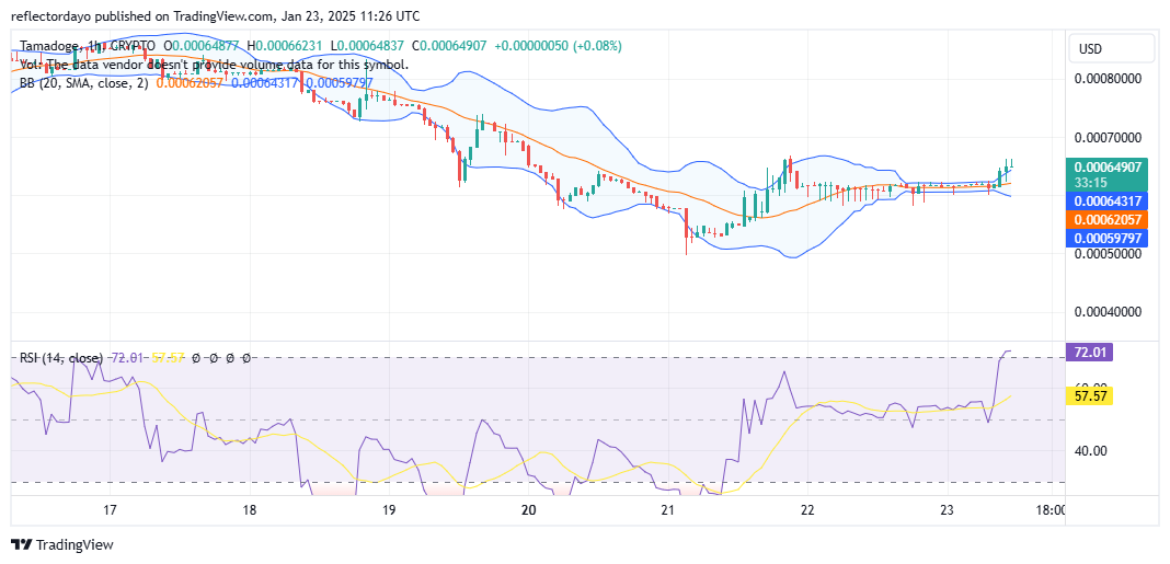 Tamadoge (TAMA/USD) Bullish Recovery in Progress