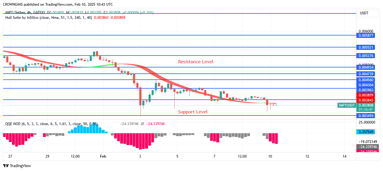 IMPTUSDT Price Is Going Higher
