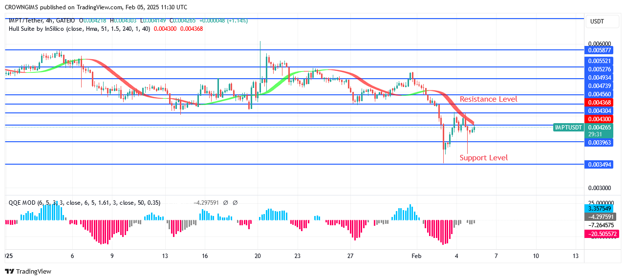 IMPTUSDT Price Is Performing Nicely