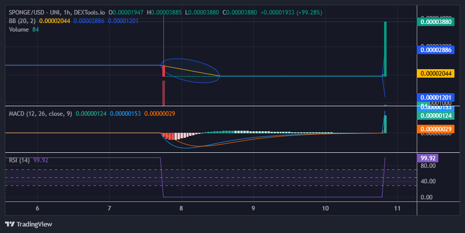 $SPONGE (SPONGE/USD) Price Surges as Predicted