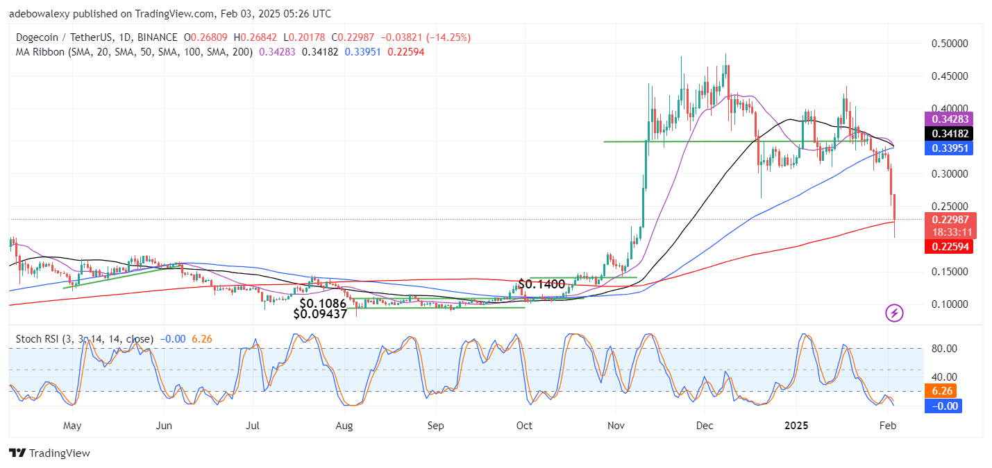 Dogecoin (DOGE) Price Prediction: DOGE/USDT Declines Rapidly Through Lower Price Levels