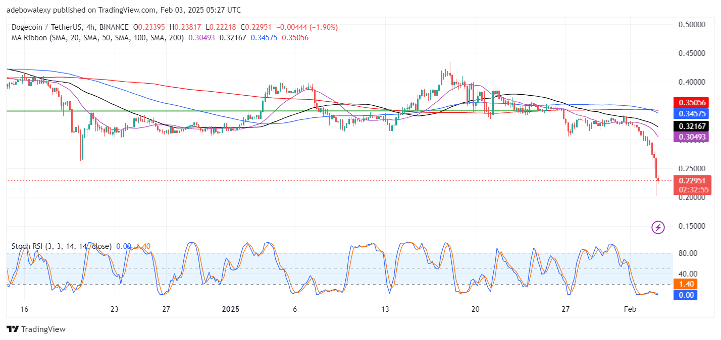 Dogecoin (DOGE) Price Prediction: DOGE/USDT Declines Rapidly Through Lower Price Levels